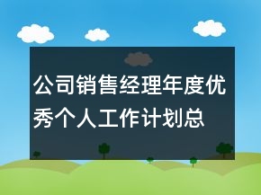 公司銷售經(jīng)理年度優(yōu)秀個(gè)人工作計(jì)劃總結(jié)