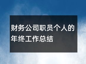 財(cái)務(wù)公司職員個(gè)人的年終工作總結(jié)