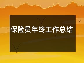 保險(xiǎn)員年終工作總結(jié)