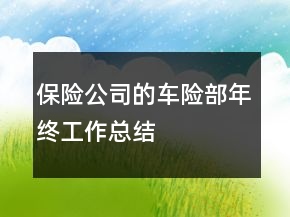 保險公司的車險部年終工作總結(jié)