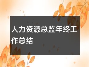 人力資源總監(jiān)年終工作總結(jié)