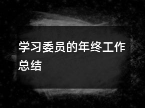 學(xué)習(xí)委員的年終工作總結(jié)