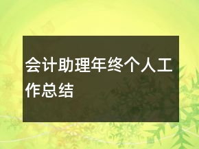 會計助理年終個人工作總結(jié)