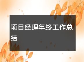 項(xiàng)目經(jīng)理年終工作總結(jié)