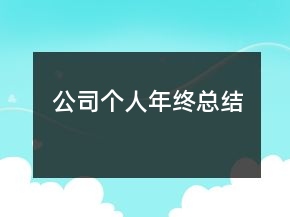 公司個人年終總結(jié)
