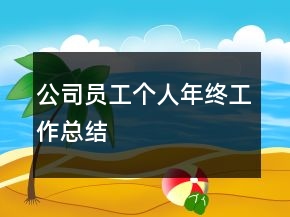 公司員工個人年終工作總結(jié)