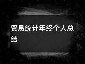 貿(mào)易統(tǒng)計年終個人總結(jié)