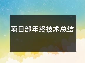 項目部年終技術總結