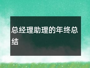 總經(jīng)理助理的年終總結(jié)