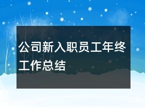 公司新入職員工年終工作總結(jié)