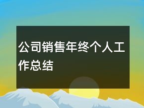 公司銷售年終個人工作總結(jié)