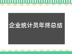 企業(yè)統(tǒng)計(jì)員年終總結(jié)