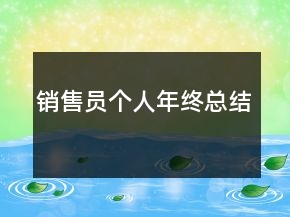 銷售員個人年終總結(jié)