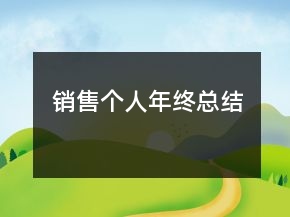 銷售個人年終總結(jié)