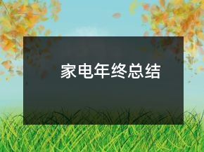 家電年終總結(jié)