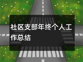 社區(qū)支部年終個(gè)人工作總結(jié)