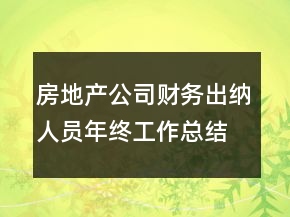 房地產(chǎn)公司財(cái)務(wù)出納人員年終工作總結(jié)