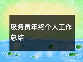 服務(wù)員年終個(gè)人工作總結(jié)