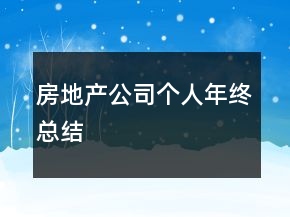 房地產(chǎn)公司個(gè)人年終總結(jié)