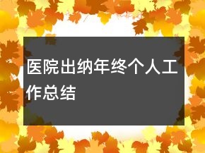 醫(yī)院出納年終個(gè)人工作總結(jié)