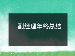 副經(jīng)理年終總結(jié)