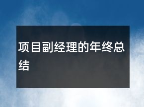 項目副經(jīng)理的年終總結