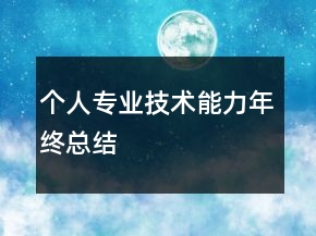 個人專業(yè)技術(shù)能力年終總結(jié)