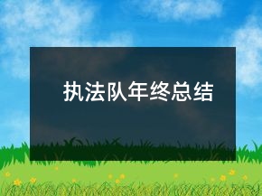 執(zhí)法隊(duì)年終總結(jié)