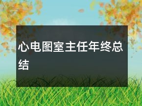 心電圖室主任年終總結(jié)