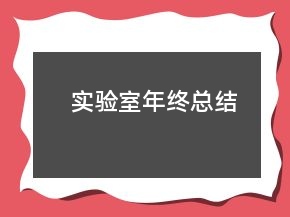 實(shí)驗(yàn)室年終總結(jié)