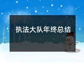 執(zhí)法大隊年終總結(jié)