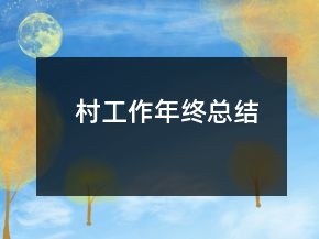 村工作年終總結(jié)