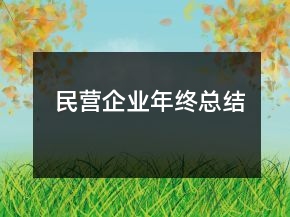 民營企業(yè)年終總結(jié)