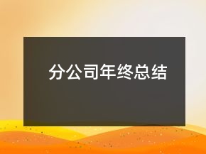 分公司年終總結(jié)