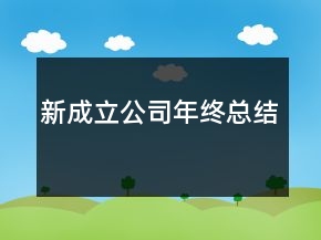 新成立公司年終總結(jié)