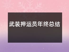 武裝押運員年終總結(jié)