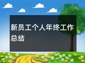 新員工個人年終工作總結(jié)
