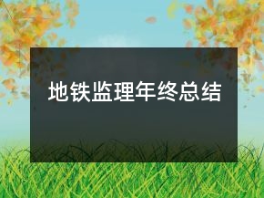 地鐵監(jiān)理年終總結(jié)