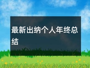 最新出納個(gè)人年終總結(jié)