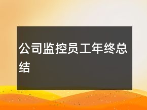 公司監(jiān)控員工年終總結(jié)
