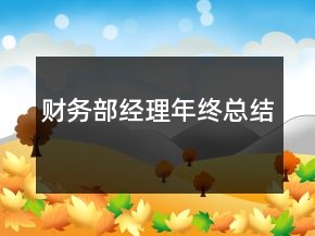 財務(wù)部經(jīng)理年終總結(jié)