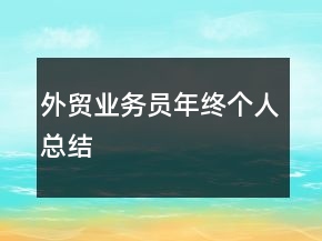 外貿(mào)業(yè)務(wù)員年終個人總結(jié)