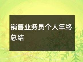 銷售業(yè)務(wù)員個(gè)人年終總結(jié)