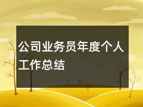 公司業(yè)務(wù)員年度個(gè)人工作總結(jié)
