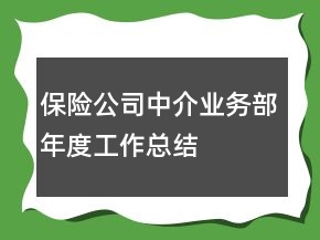 保險(xiǎn)公司中介業(yè)務(wù)部年度工作總結(jié)