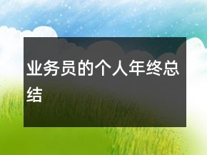 業(yè)務(wù)員的個人年終總結(jié)