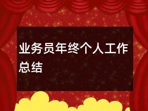 業(yè)務(wù)員年終個(gè)人工作總結(jié)