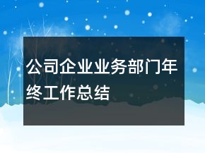 公司企業(yè)業(yè)務(wù)部門年終工作總結(jié)