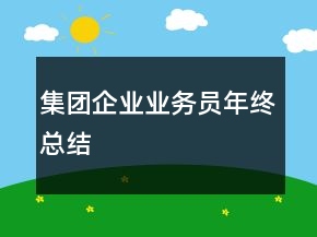集團(tuán)企業(yè)業(yè)務(wù)員年終總結(jié)