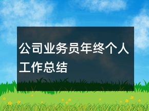 公司業(yè)務(wù)員年終個(gè)人工作總結(jié)